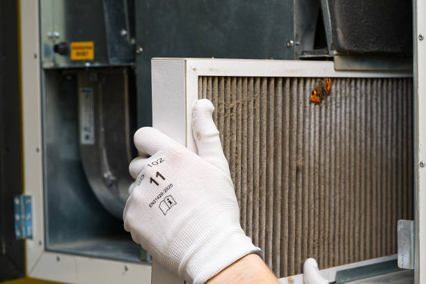 Best Affordable Duct Cleaning Services  in Buckhead Ridge, FL